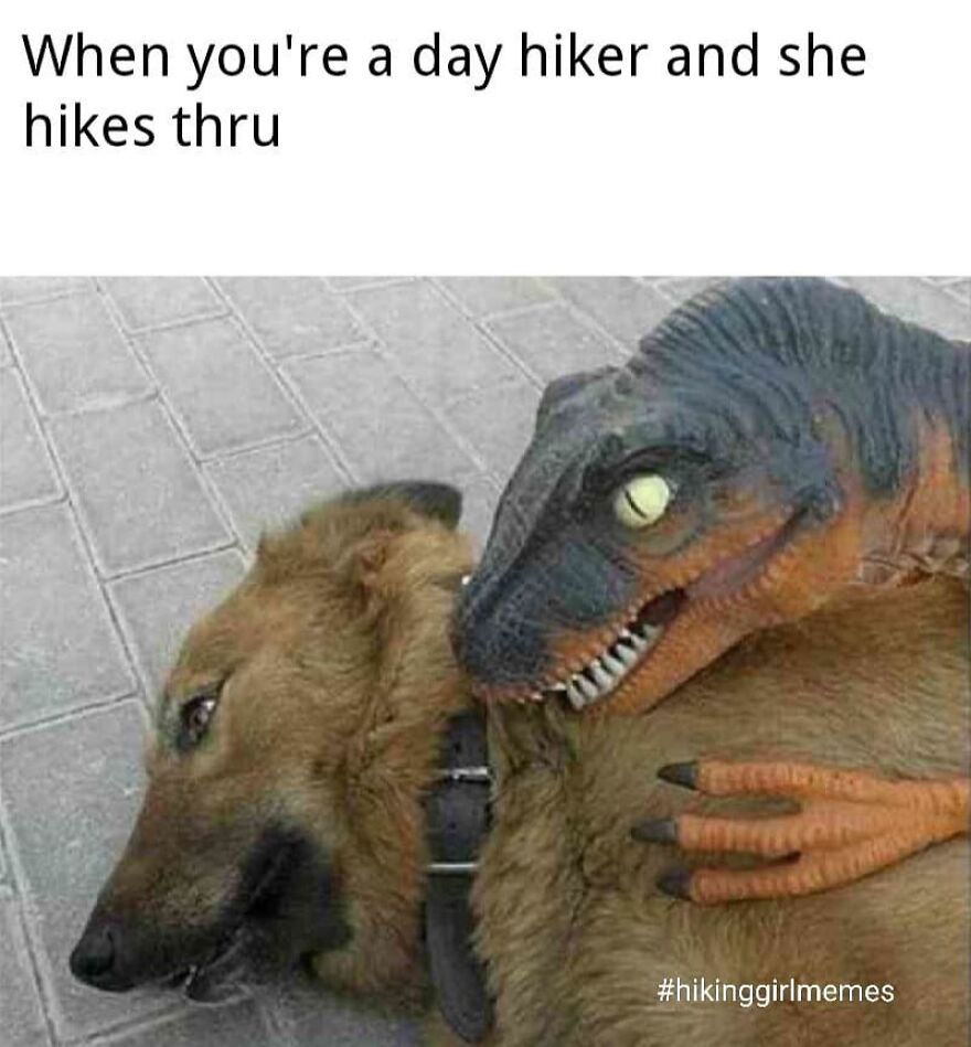 Dog looking uneasy while a person wearing a realistic dinosaur glove hugs it, a humorous camping and hiking meme.