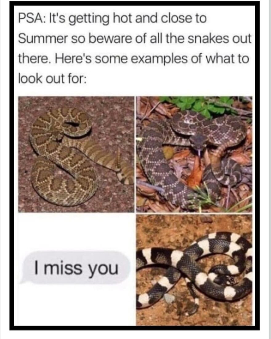 Meme warning about snakes to watch for during camping and hiking seasons as temperatures rise in nature.