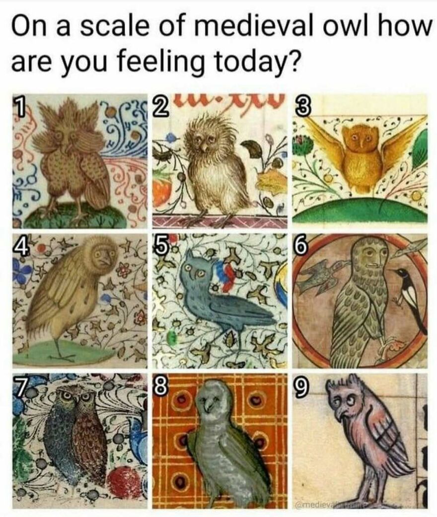 A funny bird memes grid of 9 medieval owl illustrations asking: How are you feeling today? Which bird is that?