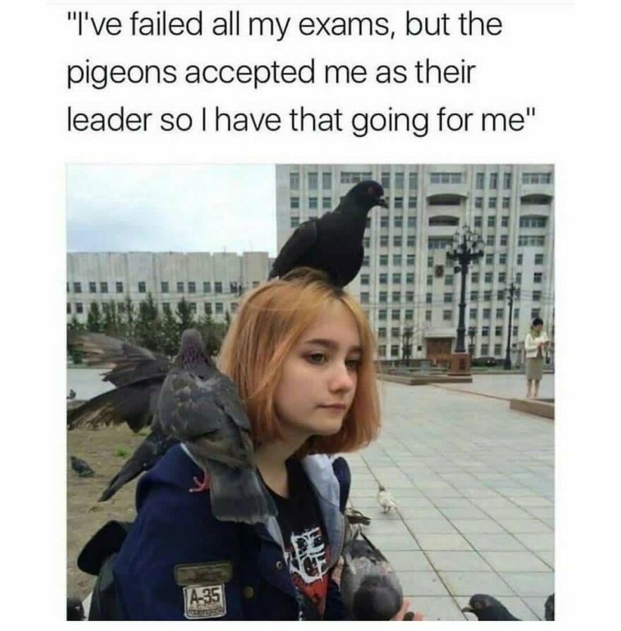 Funny bird meme with a girl covered in pigeons, one on her head, looking thoughtful in a city square.