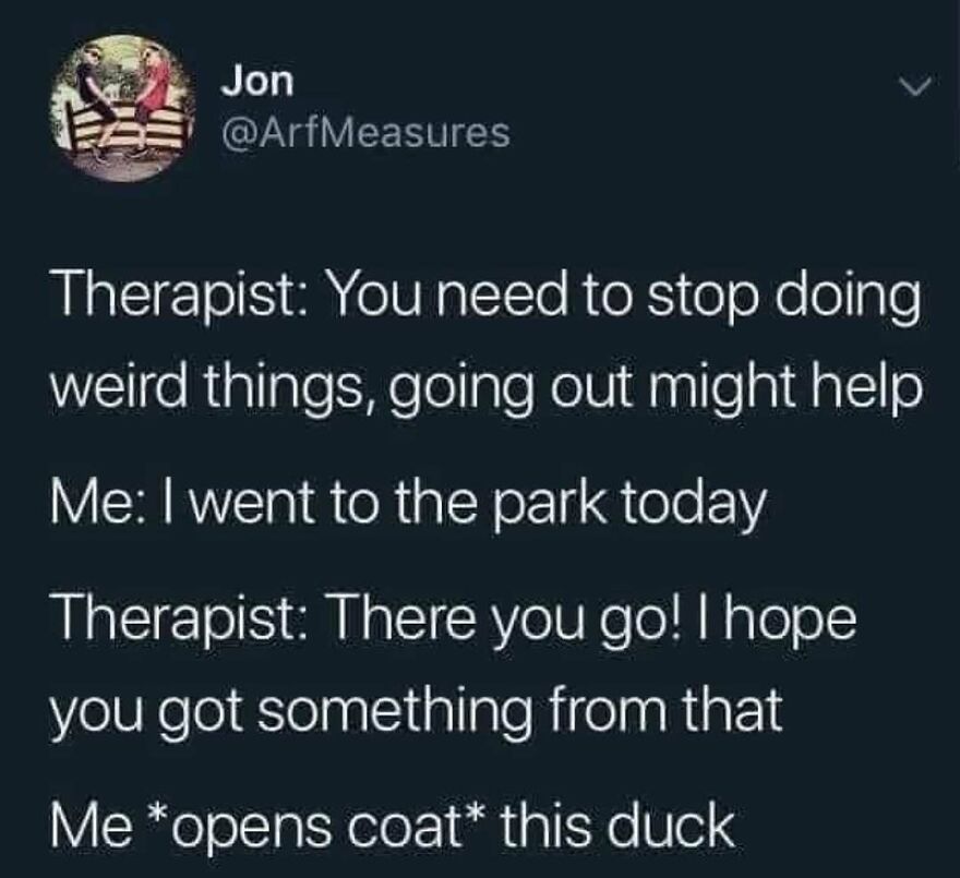 A funny bird meme about a therapist and patient, who reveals a duck under their coat. Wait, what bird is that?