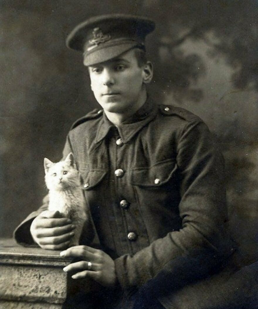 Sepia photo of a WWI soldier in uniform, holding a fluffy white kitten, offering a fascinating look at history.