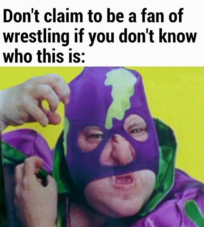 Wrestling fan meme featuring a person in a purple costume from 90s memes for nostalgia ride.