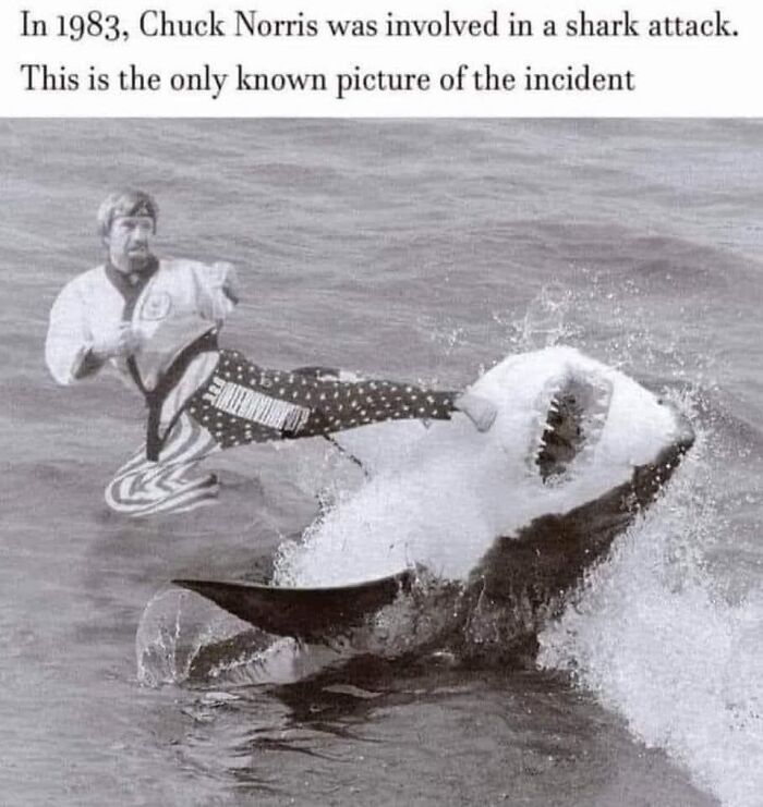Chuck Norris kicking a shark in the ocean, a classic ’90s meme capturing wild and amazing nostalgia.
