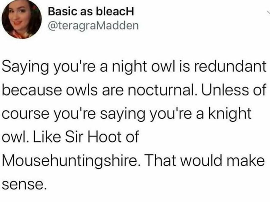 Funny bird meme: a tweet by @teragraMadden about night owls, knight owls, and Sir Hoot.
