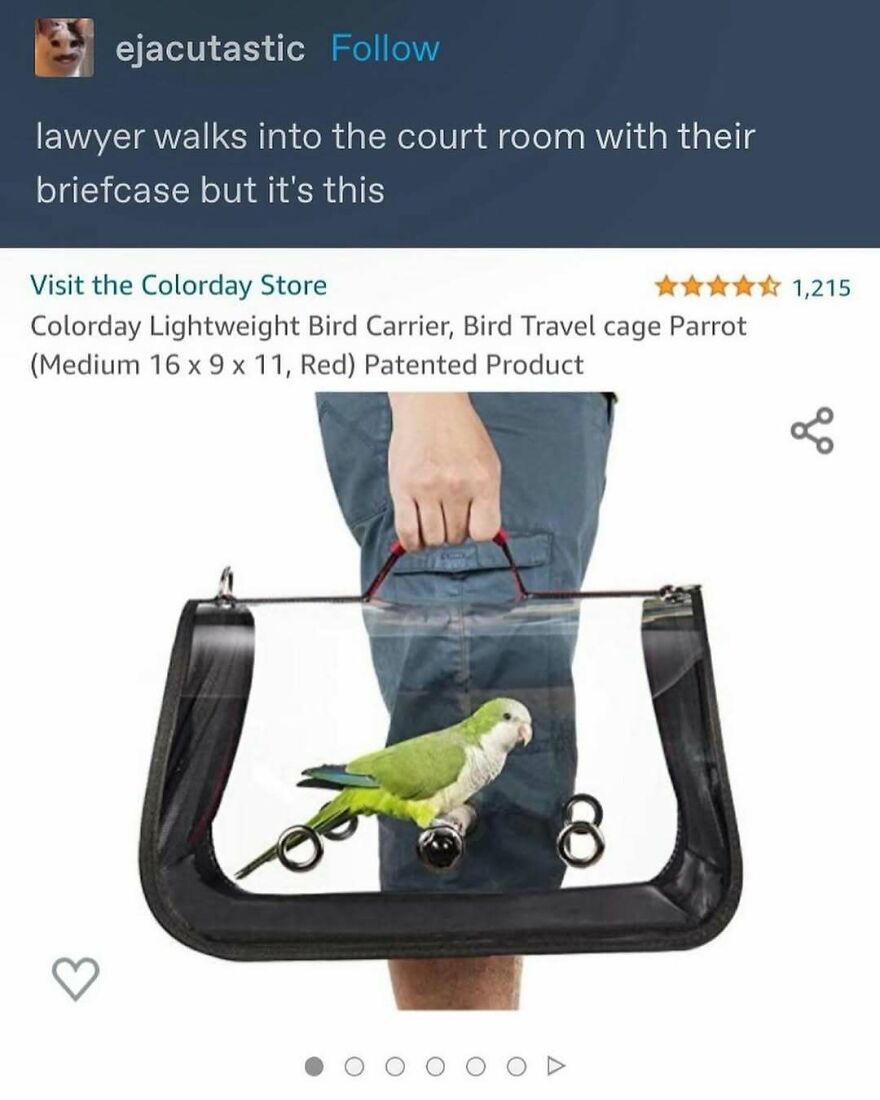 A person holding a clear bird carrier with a green parrot inside, showcasing a funny bird meme.