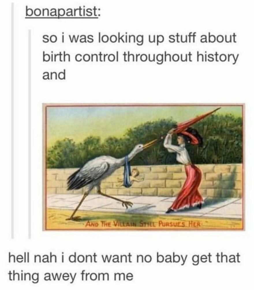 Funny bird memes: A vintage illustration shows a woman fending off a stork carrying a baby, captioned with a modern reaction.