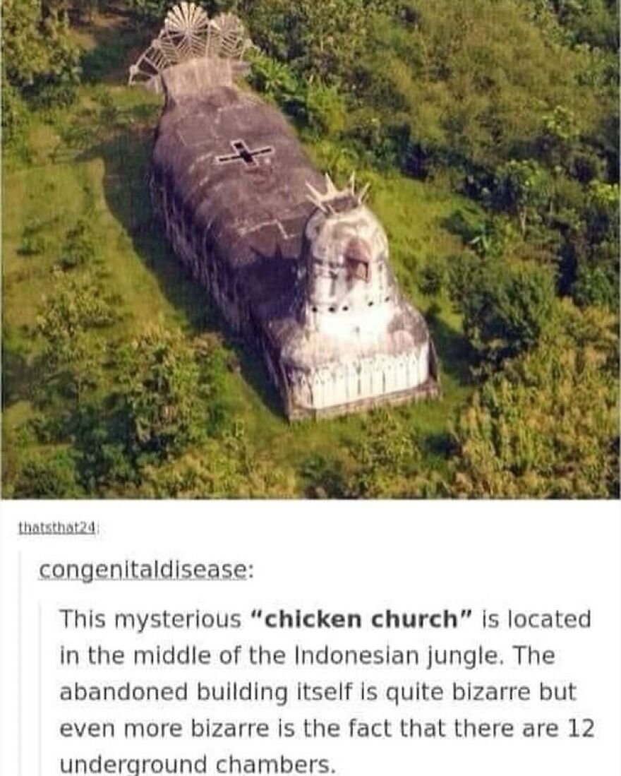 Aerial view of the chicken church, an abandoned bird-shaped building in the Indonesian jungle. Funny bird memes.