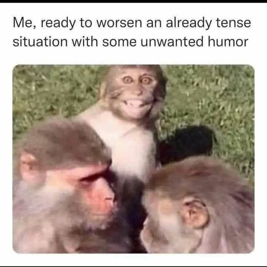 A funny meme of three monkeys. One monkey grins wildly, ready to make things worse with humor. Relatable memes.