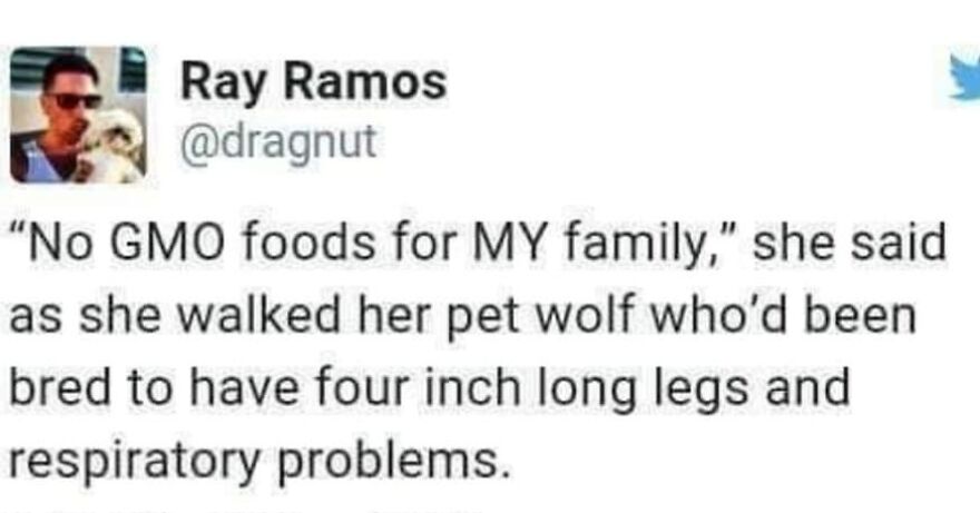 Tweet meme about a pet wolf with breathing problems, related to camping and hiking humor and nature themes.
