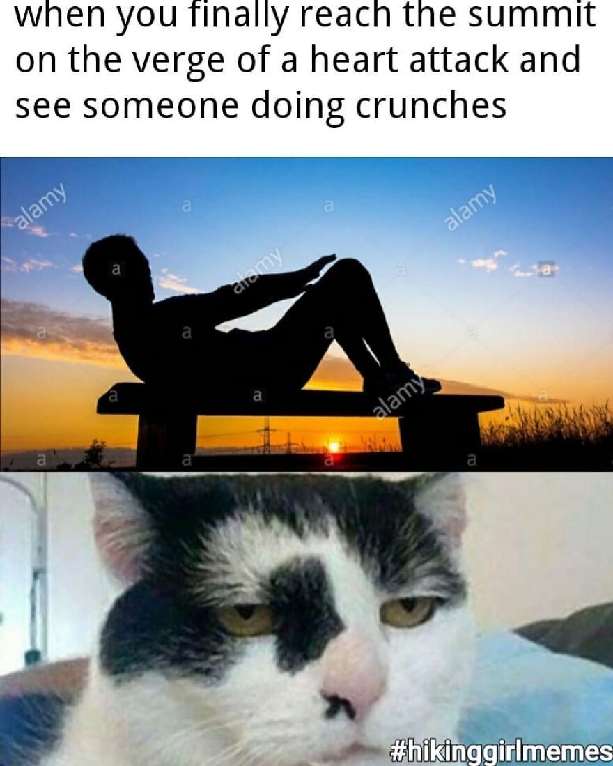 Hiker exhausted at sunset on a bench with a unimpressed cat expressing hiking and camping memes humor.