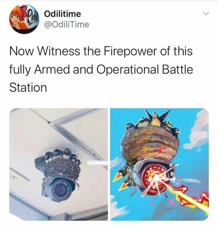 A funny bird meme showing a security camera with a nest of birds, humorously depicted as a battle station.