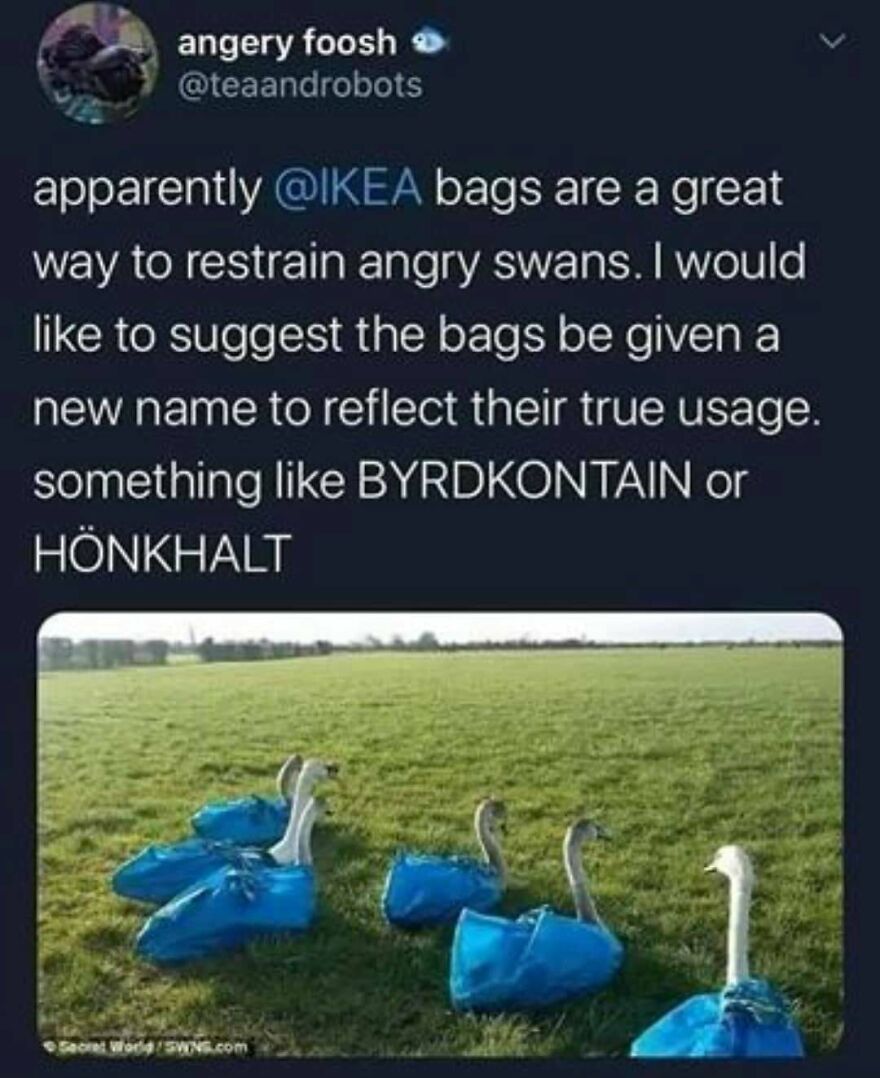 Funny bird memes show swans in blue IKEA bags on a grassy field, with text suggesting new names for the bags.