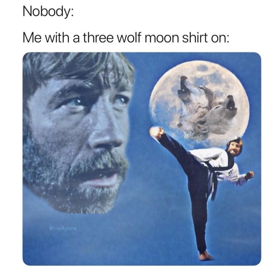 Man in martial arts pose with a three wolf moon image near the moon, camping and hiking meme humor.