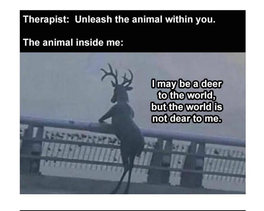 Meme showing a deer standing by a fence with text about unleashing the animal within, related to camping and hiking memes.