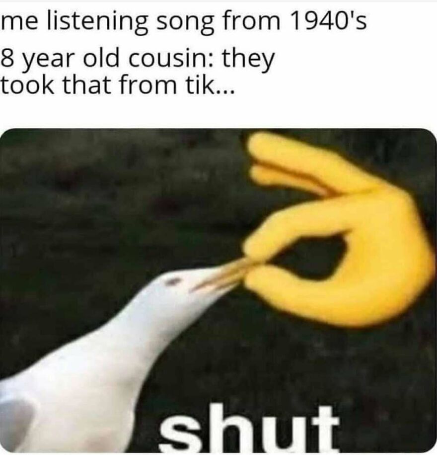 Funny bird meme shows a seagull with its beak held shut by a cartoon hand, with text about 1940s songs.