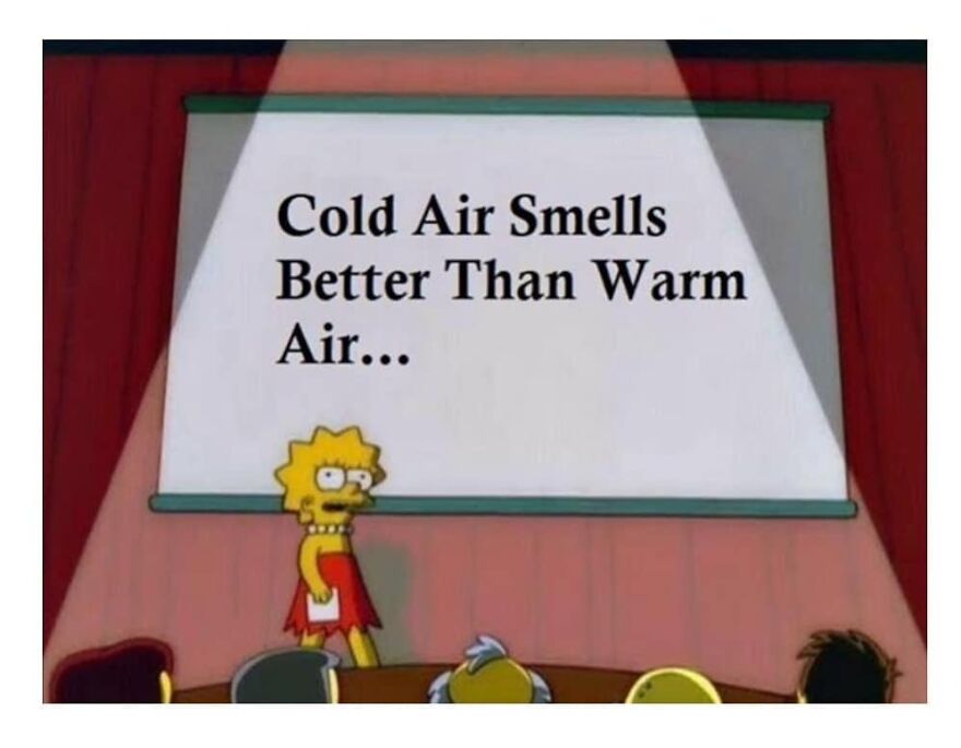Lisa Simpson presenting a meme about cold air smelling better than warm air, related to camping and hiking.