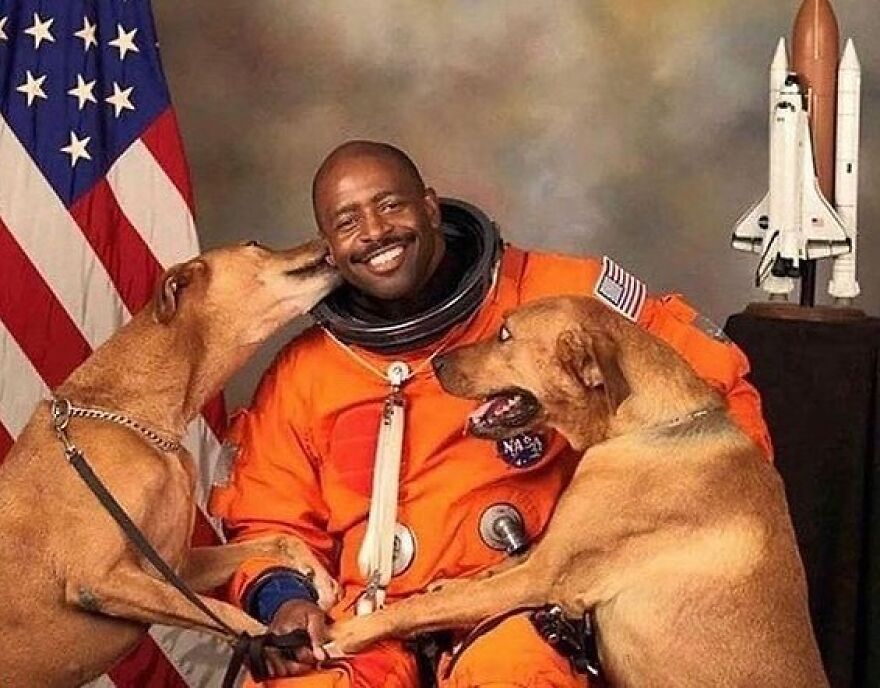 Fascinating photo of a smiling astronaut in an orange suit getting licked by one dog, with another dog leaning on him.