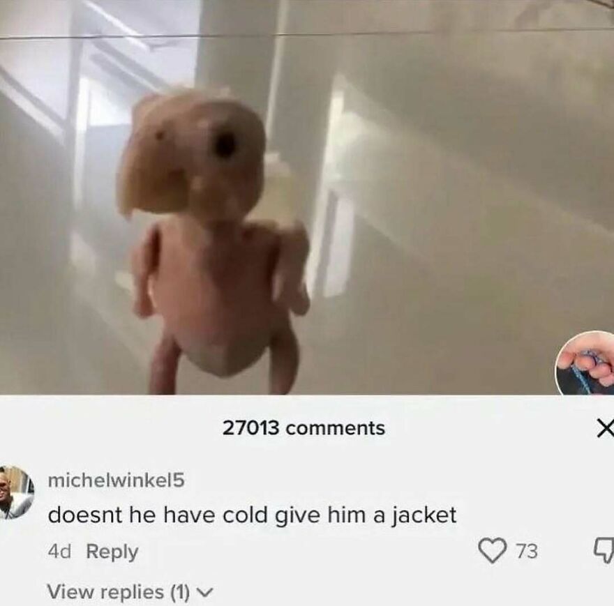 Funny bird meme of a raw chicken shaped like a walking bird, with a comment saying, doesnt he have cold give him a jacket.