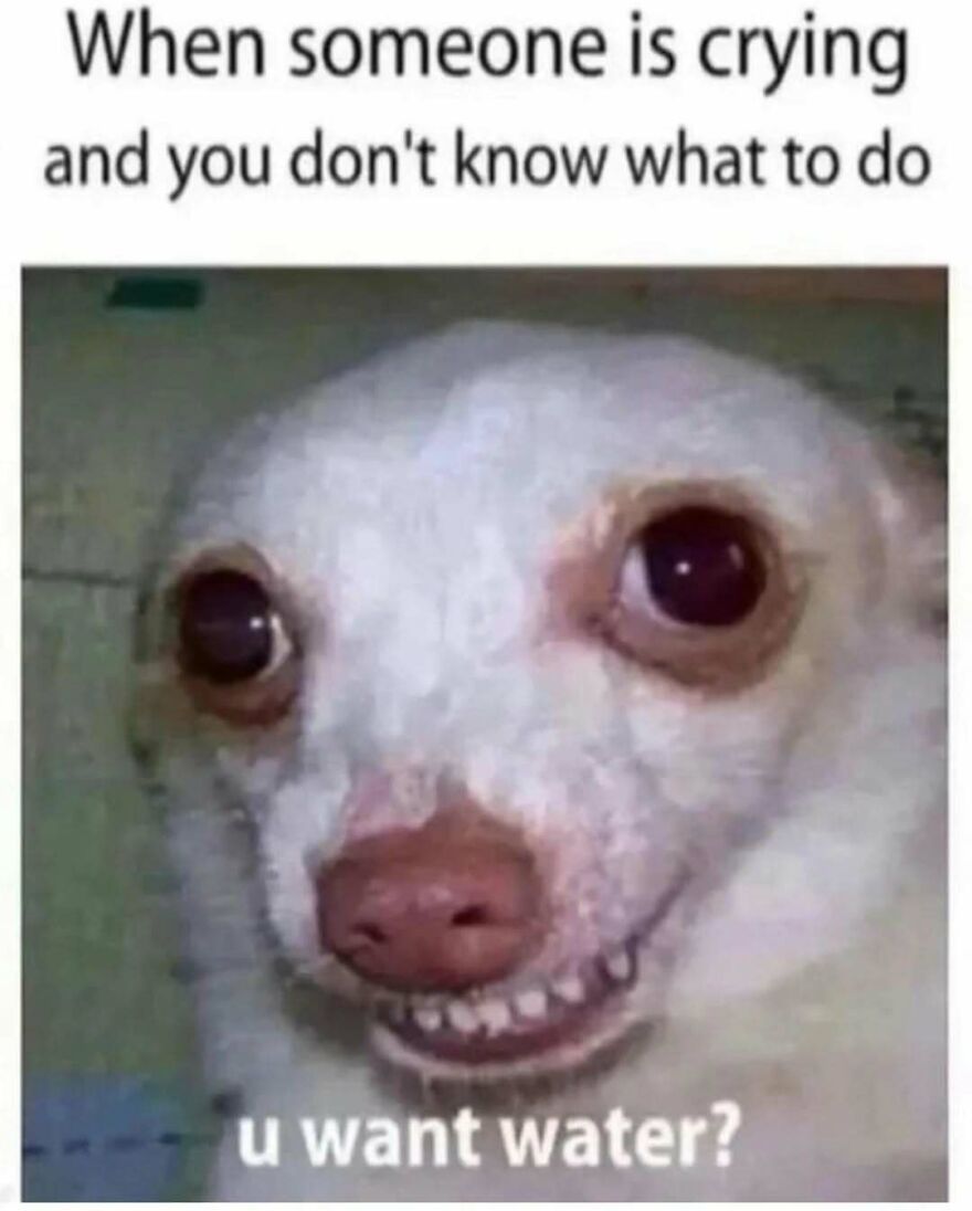 Funny-Relatable-Introvert-Memes