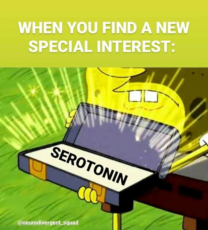 A relatable meme featuring Spongebob holding an open briefcase labeled "SEROTONIN" with glowing light, implying joy from new interests. Brains will get this.