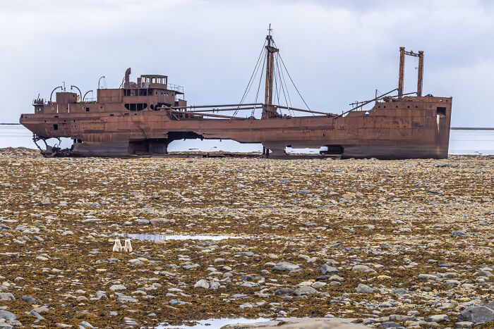 Environmental Impact, Finalist: Clear And Present Danger By Akshay Manwani