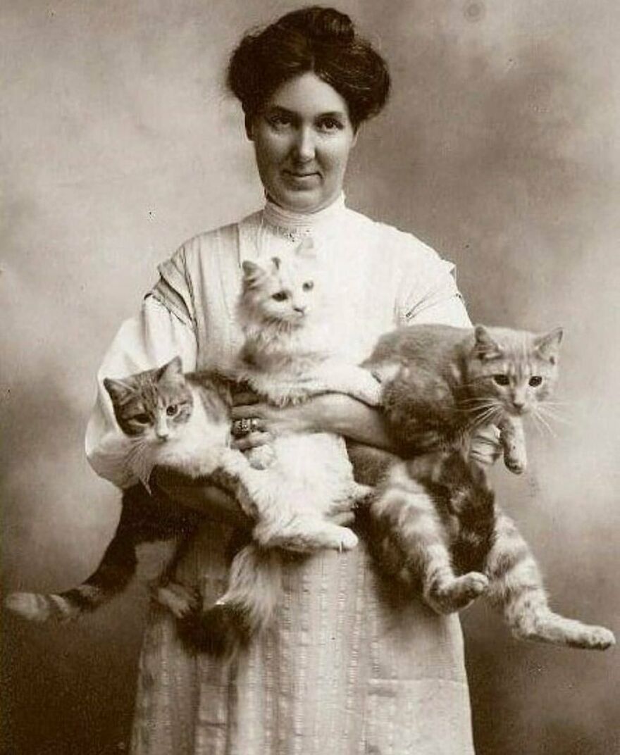 Sepia photo of a woman in a white dress holding three cats. A fascinating photo that teaches about history.
