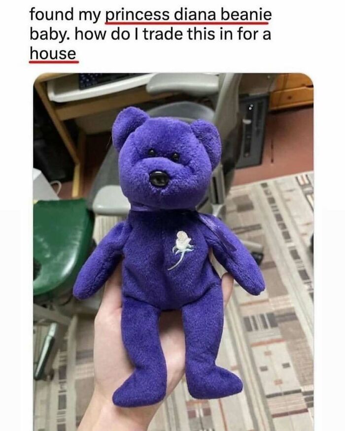 Purple Beanie Baby held in hand, nostalgic ’90s meme referencing trading vintage toys for a house.
