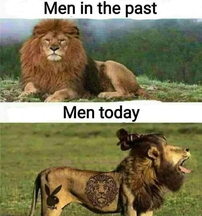 Humorous ’90s meme showing a strong lion as men in the past and a tattooed lion with a man bun as men today.