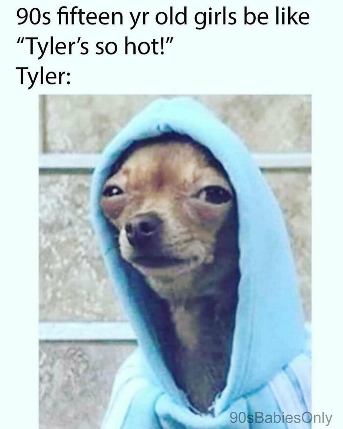 90s meme featuring a dog in a blue hoodie with a caption about fifteen-year-old girls and Tyler's popularity.