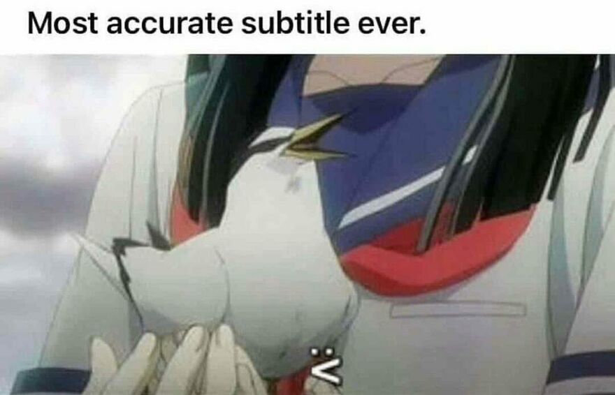 An anime character holds a bird with a funny bird meme subtitle, making this a humorous image.
