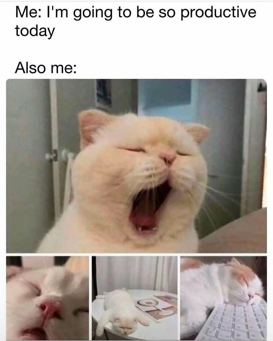 Funny-Relatable-Introvert-Memes