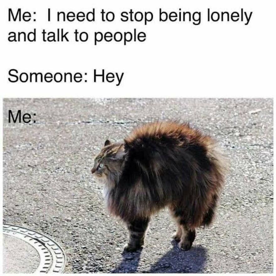 Funny-Relatable-Introvert-Memes