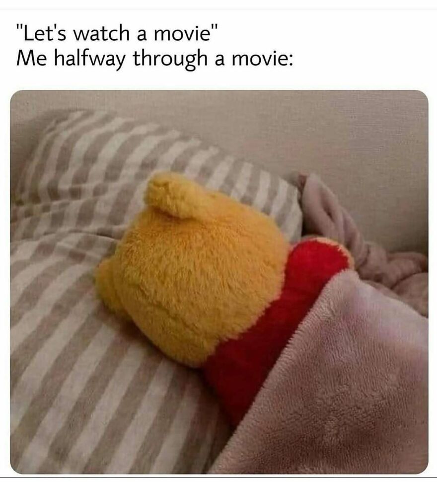 Funny and relatable meme of a Winnie the Pooh plushie asleep under a blanket, portraying falling asleep during a movie.