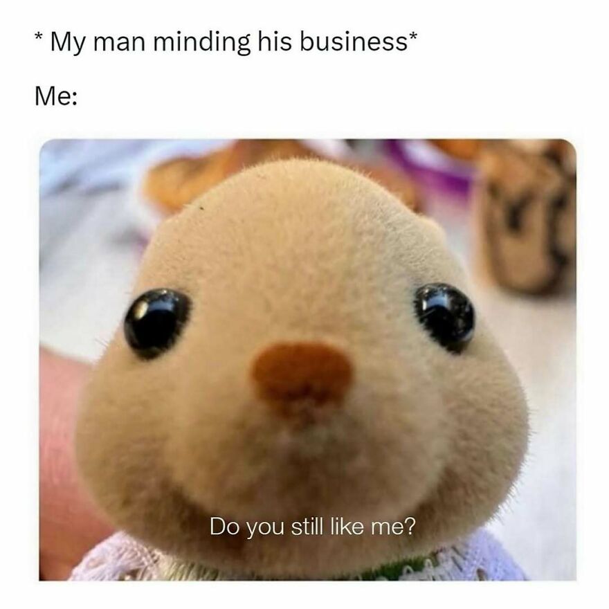 A funny and relatable meme of a cute, plush animal with wide eyes asking, Do you still like me?