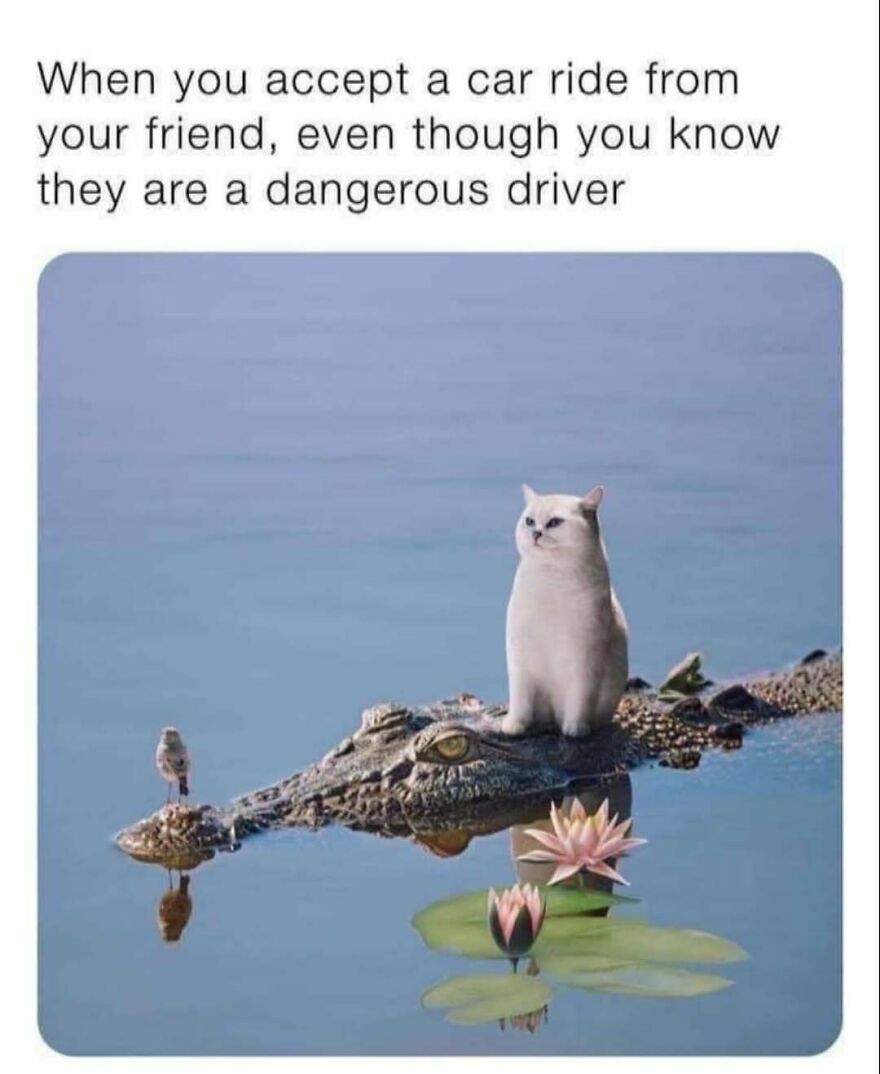 Funny-Relatable-Introvert-Memes