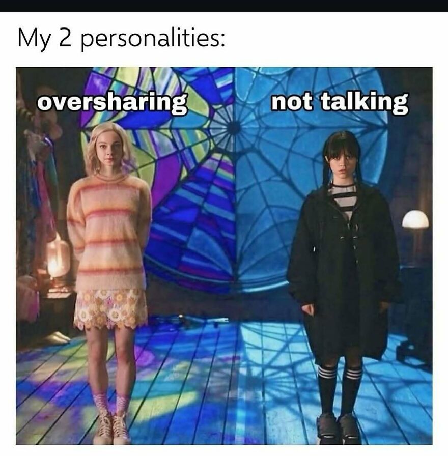 Funny-Relatable-Introvert-Memes