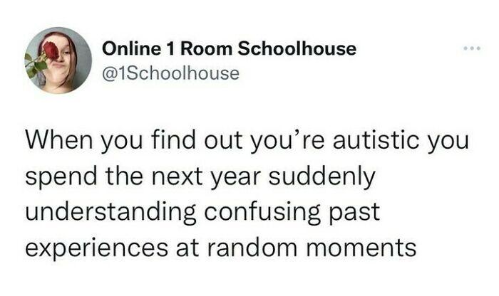 Funny-Relatable-Autism-Neurodivergent-Memes