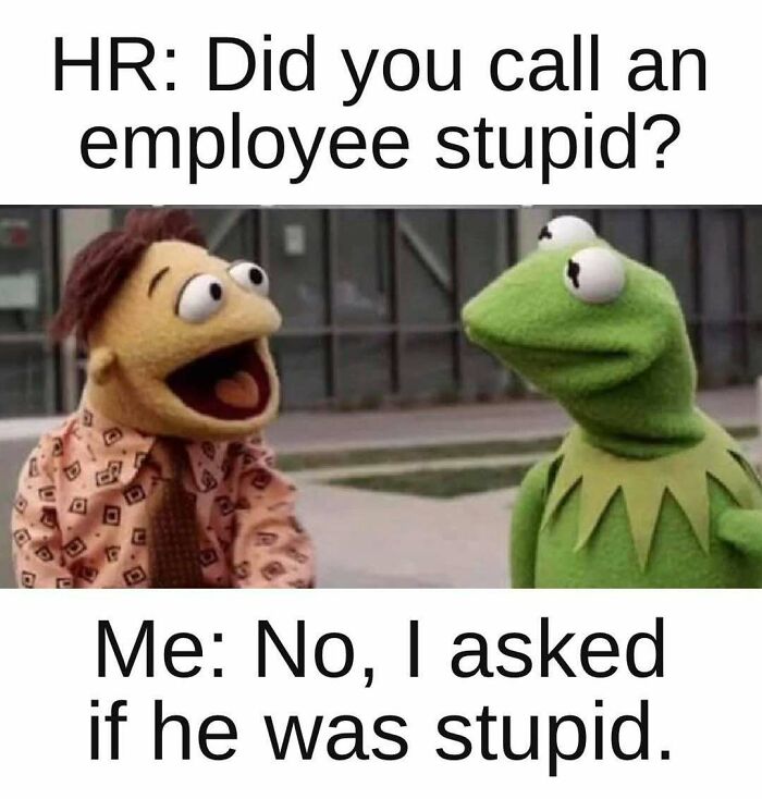 Muppets meme showing a humorous office conversation, illustrating relatable adulthood memes about work and communication.