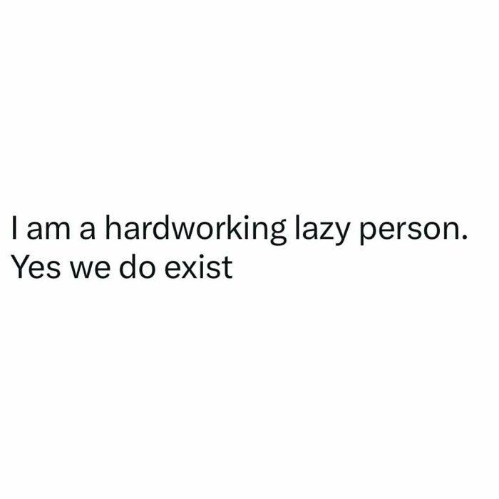 Text meme about being a hardworking lazy person, a relatable meme for anyone who thought adulthood would be easier.