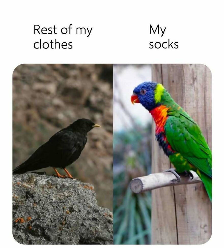 Funny-Relatable-Introvert-Memes