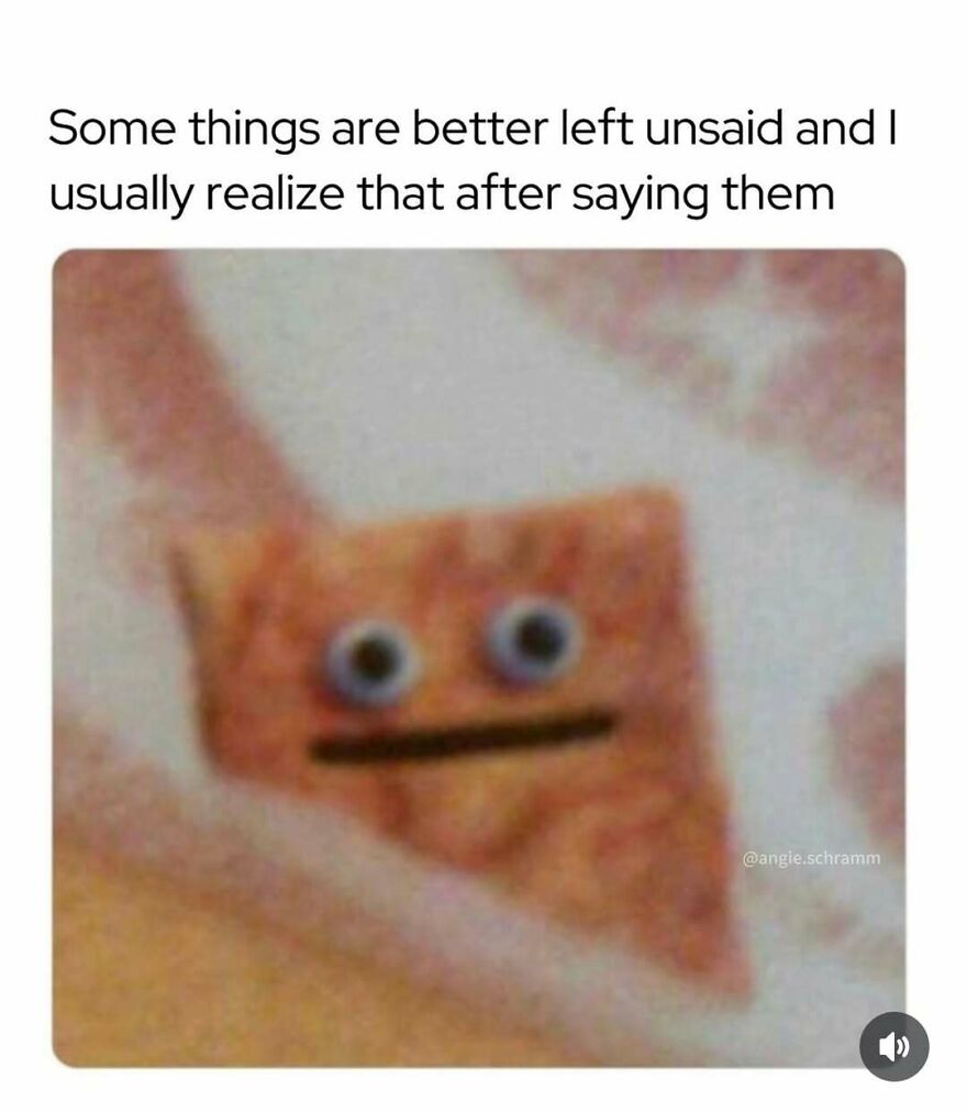 Funny-Relatable-Introvert-Memes