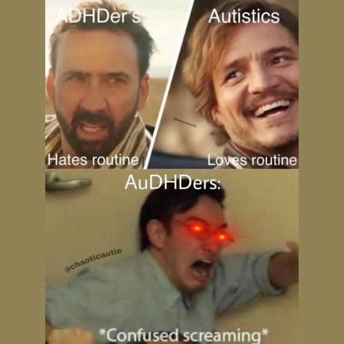 Funny-Relatable-Autism-Neurodivergent-Memes