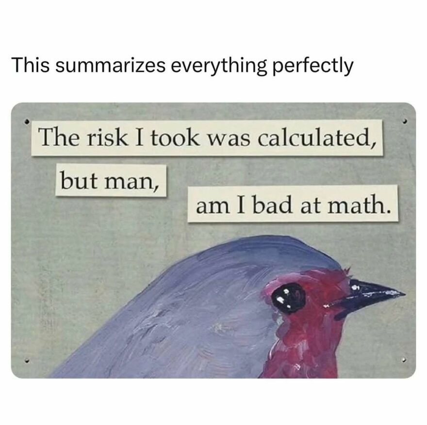 A funny and relatable meme of a bird looking distressed, with text: "The risk I took was calculated, but man, am I bad at math."