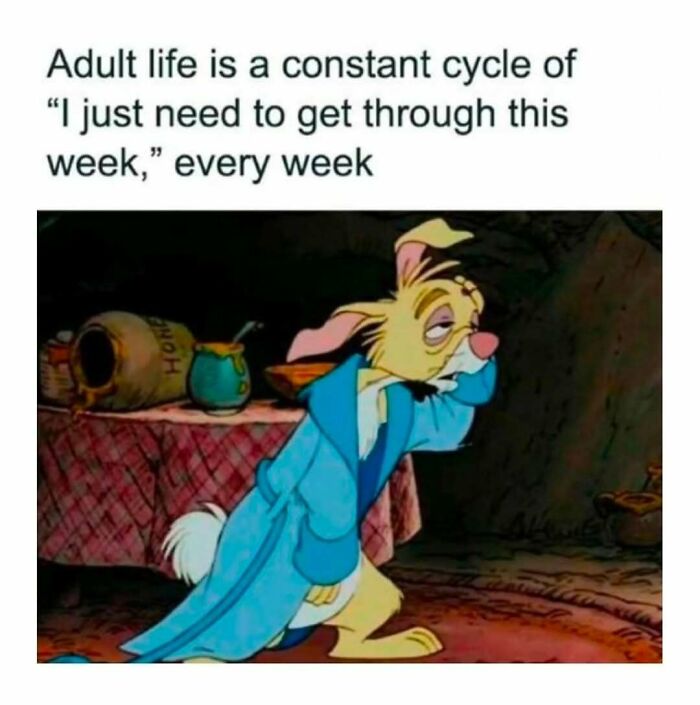 Tired cartoon rabbit in a robe illustrating relatable memes about the struggles of adult life every week.