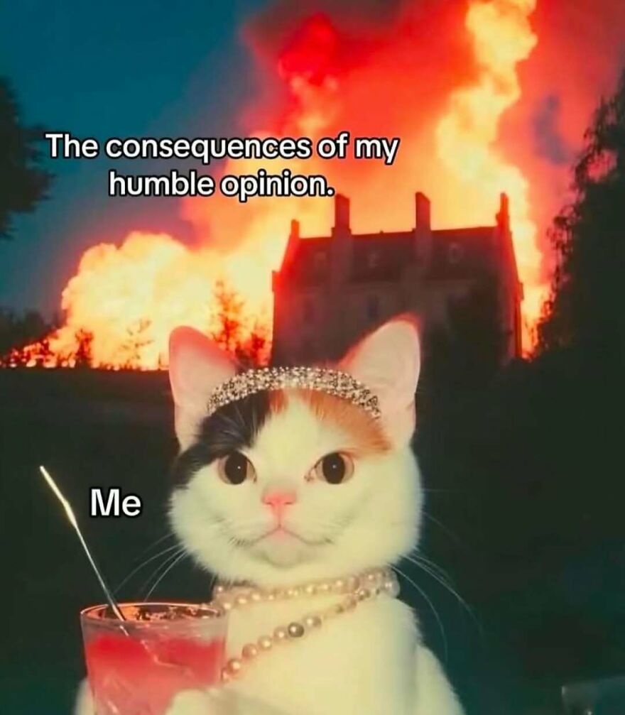 Funny-Relatable-Introvert-Memes