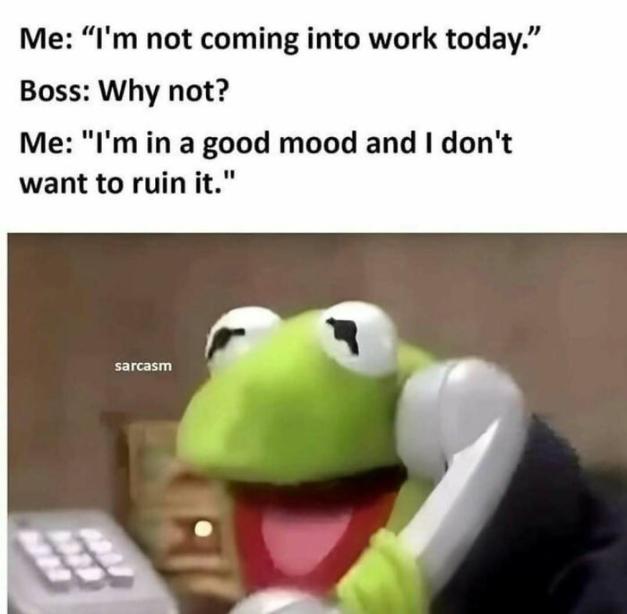 Relatable meme with Kermit the Frog on phone expressing reluctance to go to work, highlighting adulthood challenges.