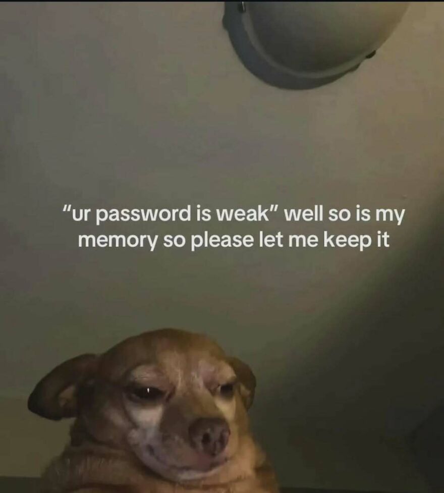 A funny meme with a dog and text: ur password is weak well so is my memory so please let me keep it. Relatable memes.