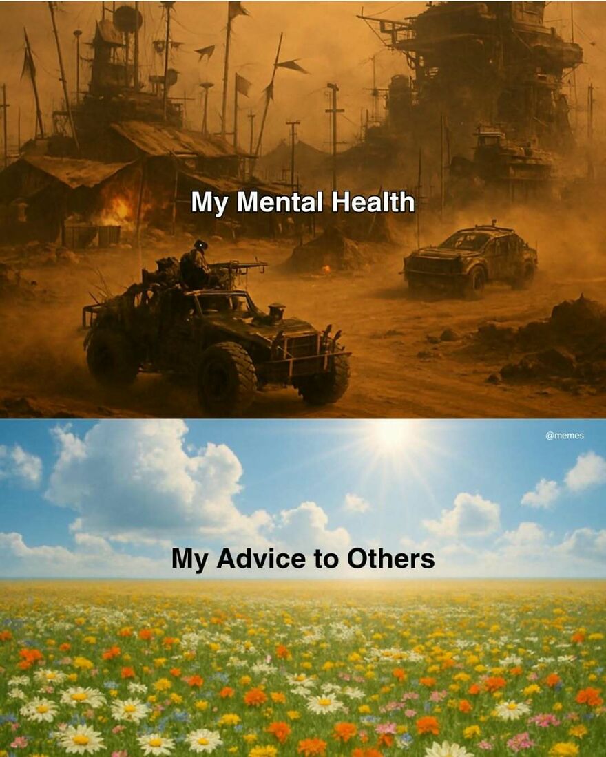 Funny memes comparing a dusty, apocalyptic landscape labeled My Mental Health to a vibrant flower field labeled My Advice to Others.