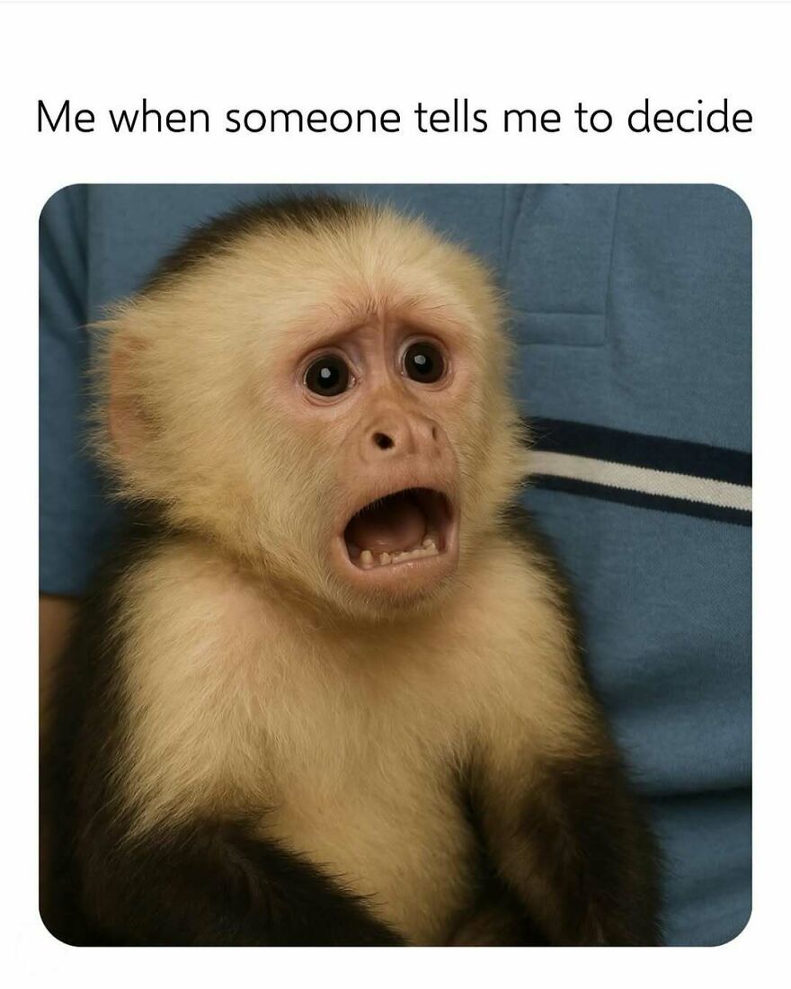 Funny-Relatable-Introvert-Memes